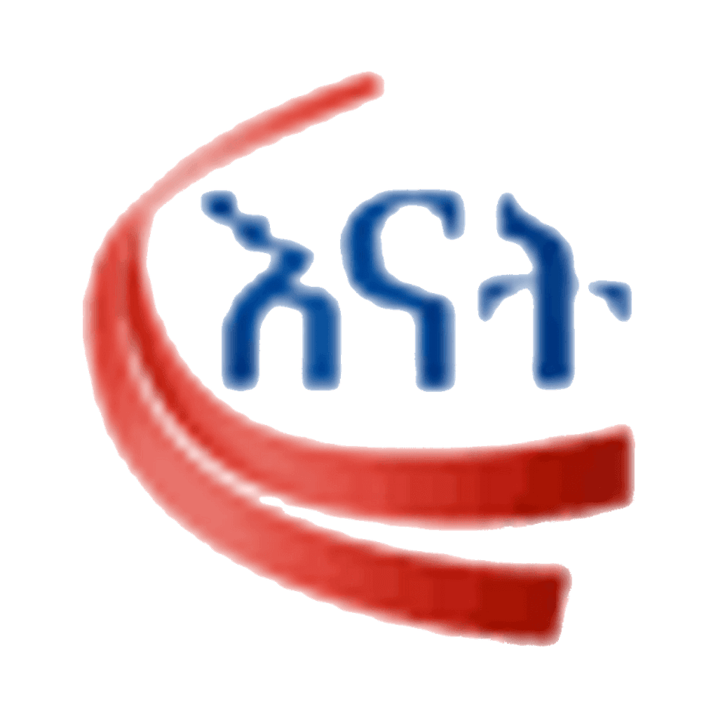 Enat Bank S.C. logo