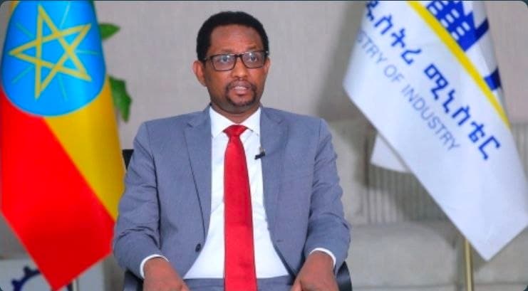 Made in Ethiopia Movement Drives Growth in Manufacturing Sector