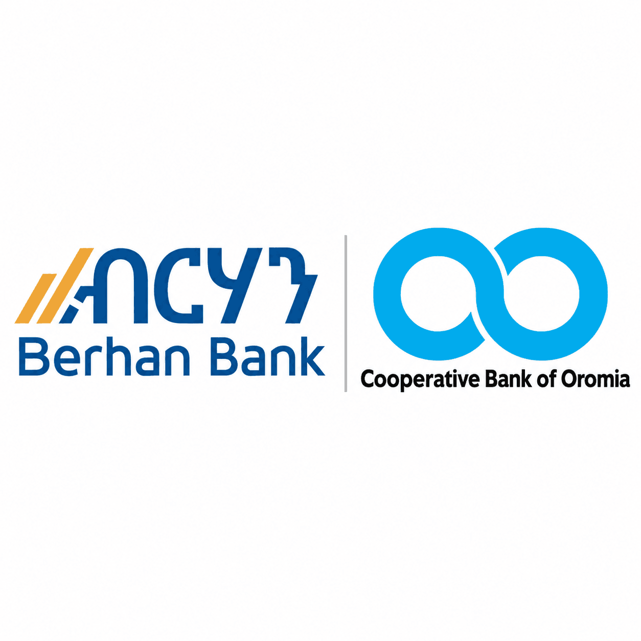 Ethiopian Capital Market Authority Registers Berhan Bank and Cooperative Bank of Oromia Securities